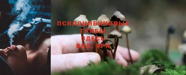 кокаин колумбия Алзамай