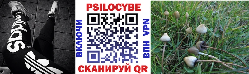 сколько стоит  Крым  Псилоцибиновые грибы GOLDEN TEACHER 